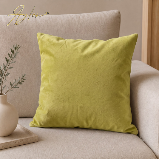 Coussin Décoratif Anti-Tache