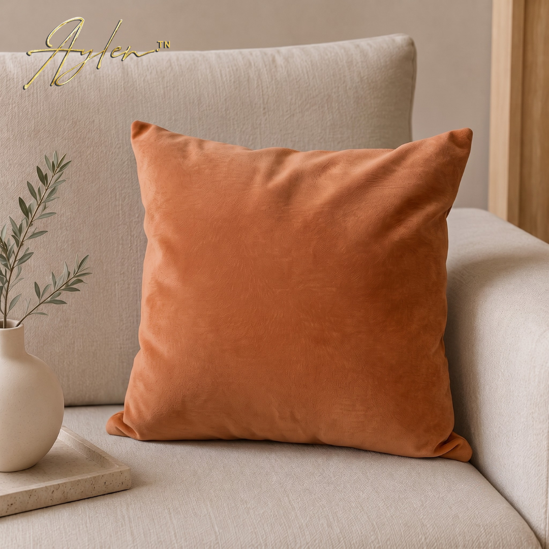 Coussin Décoratif Anti-Tache