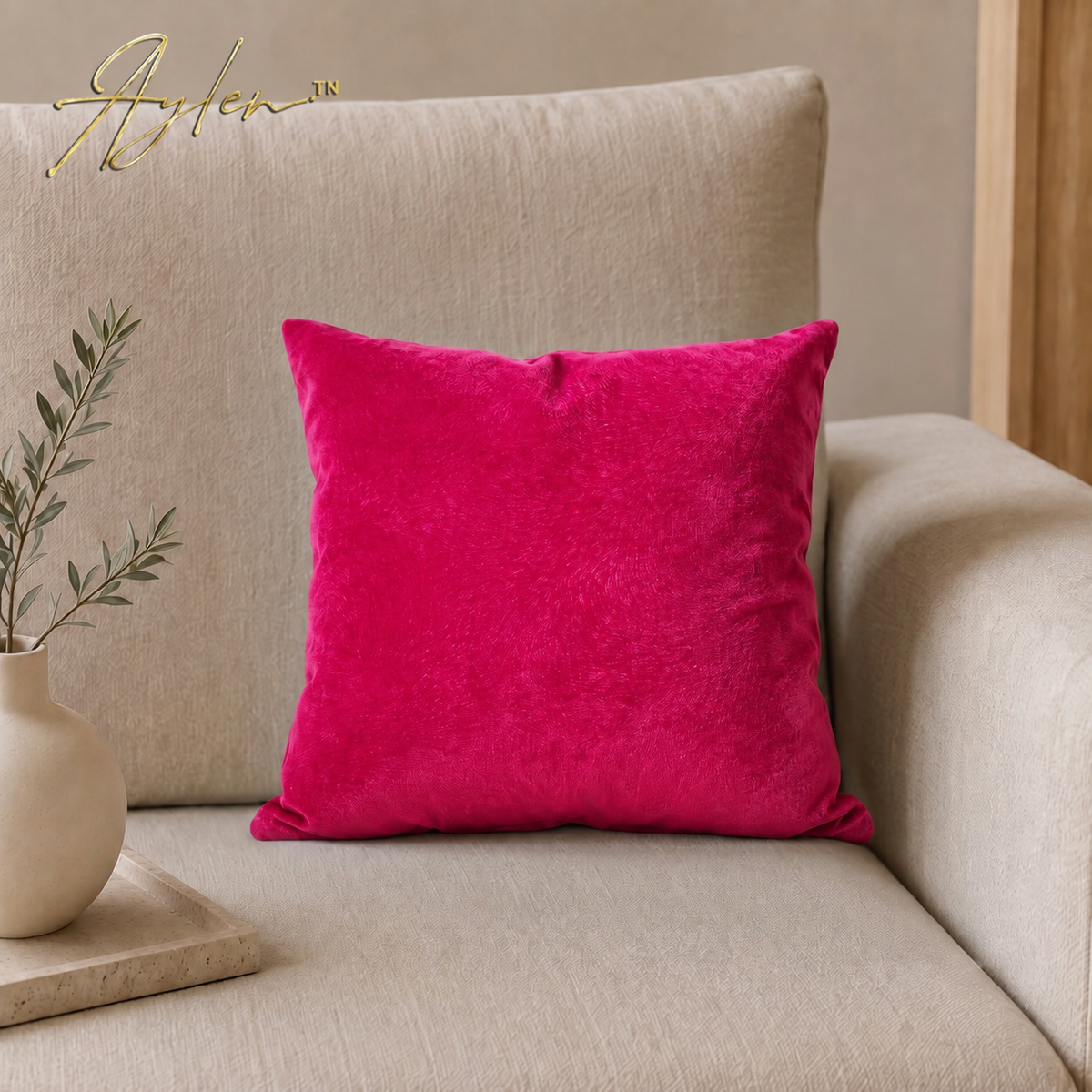 Coussin Décoratif Anti-Tache