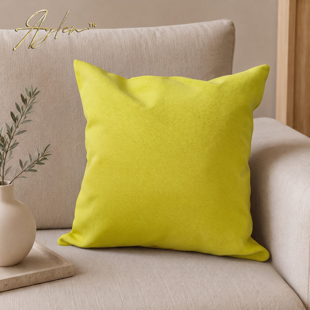Coussin Décoratif Anti-Tache